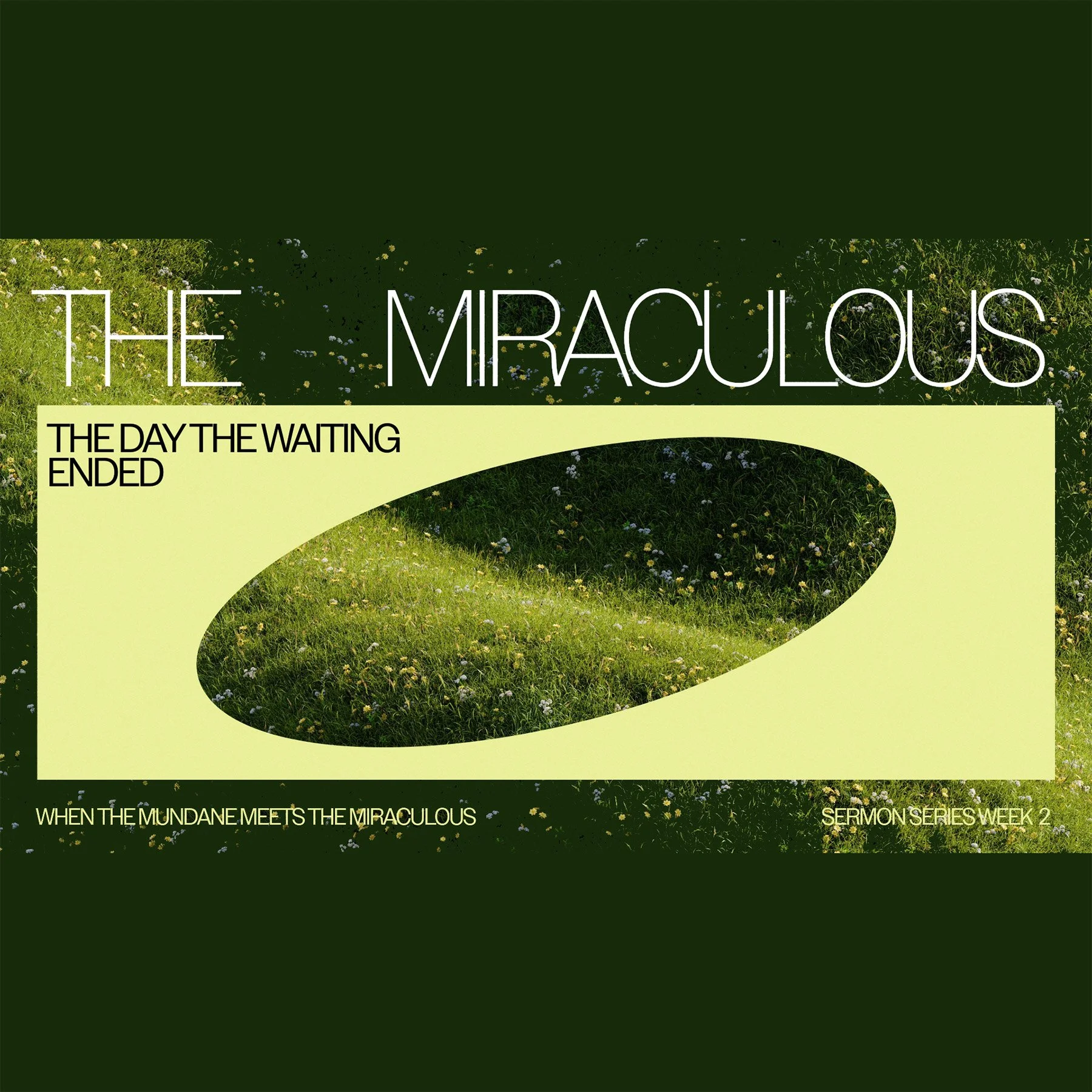 THE MIRACULOUS: When the Mundane Meets the Miraculous Part 2