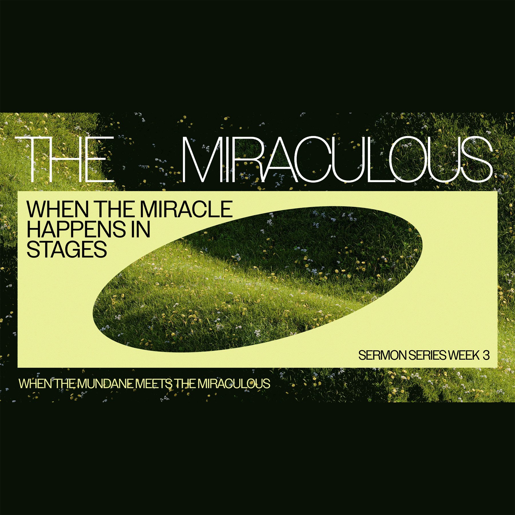 THE MIRACULOUS:&nbsp;When the Mundane Meets the Miraculous  Part 3