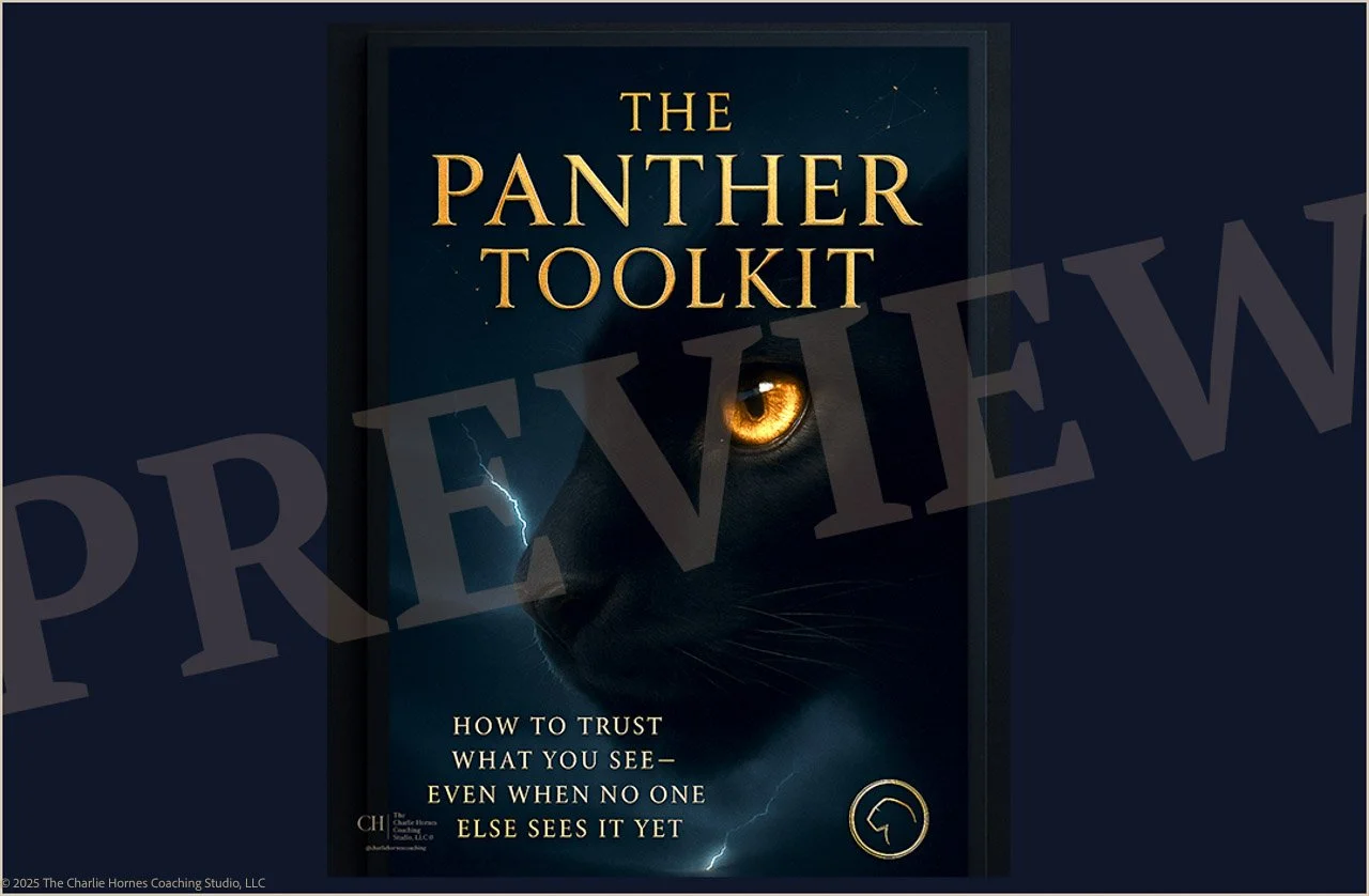 Pattern Recognition Workbook | Digital Edition: Panther - Seeker Response Under Pressure PDF