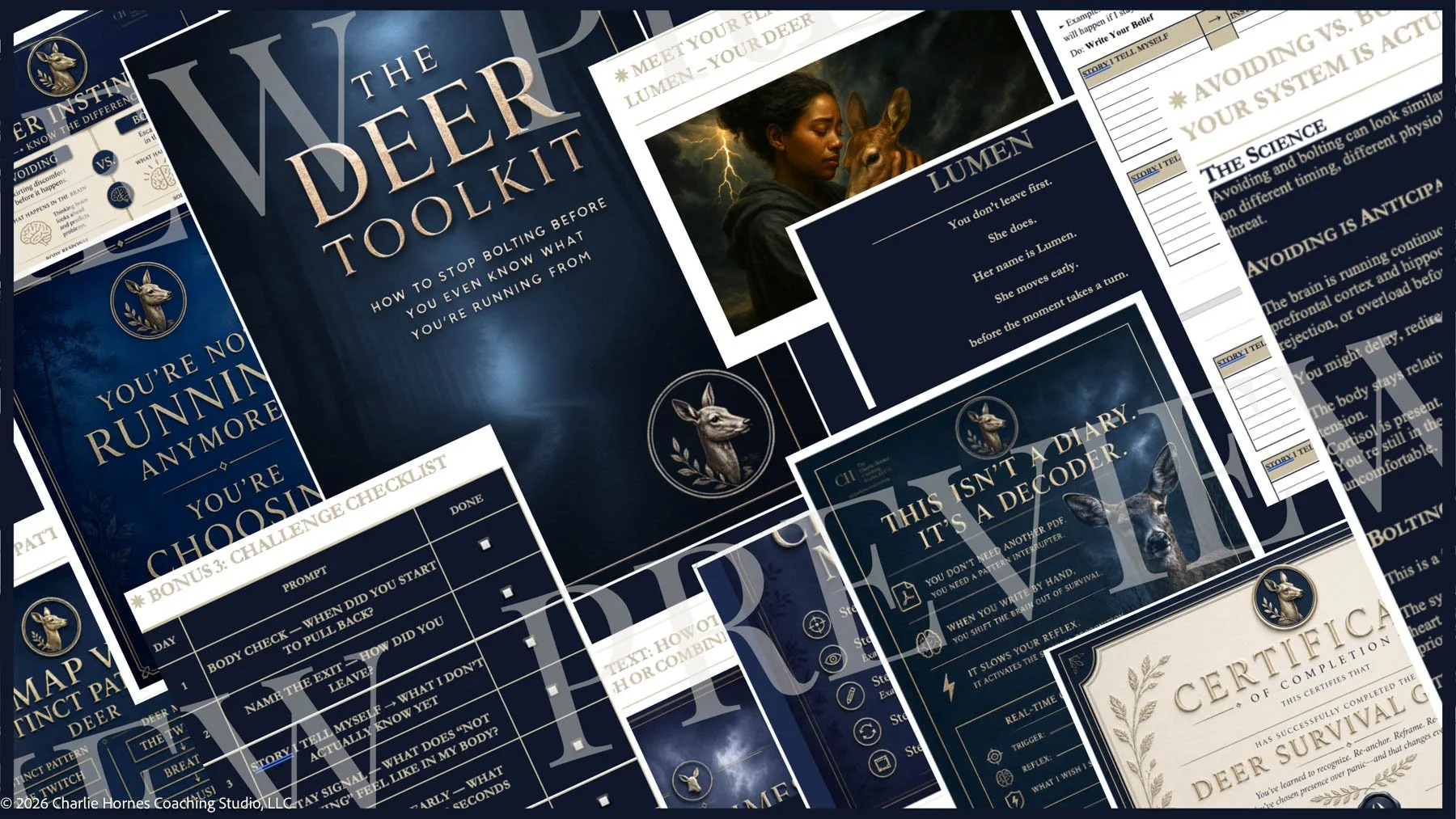 Add High-Resolution Print Edition | Stop Avoiding What Matters Most The Deer Flight Survival Guide (+ $9.97)