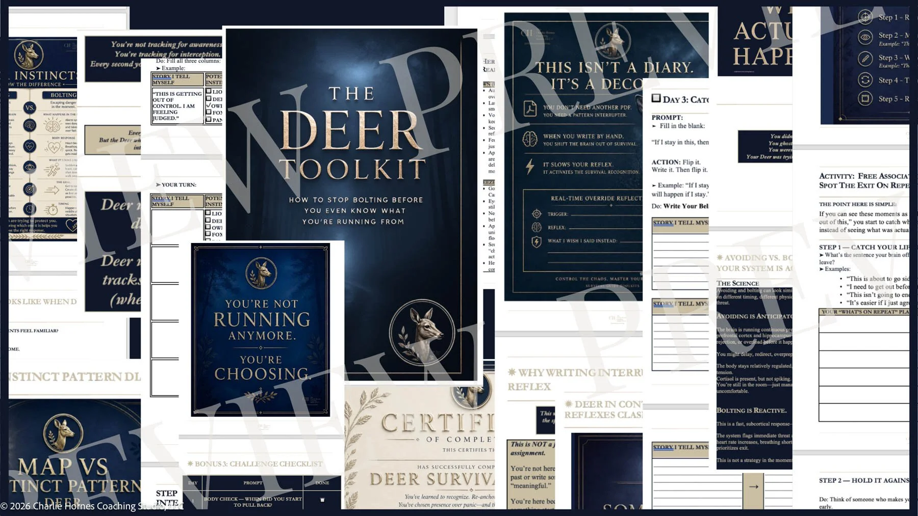 deer-flight-survival-guide-preview-digital-edition-workbook-pages-download-2026.jpg