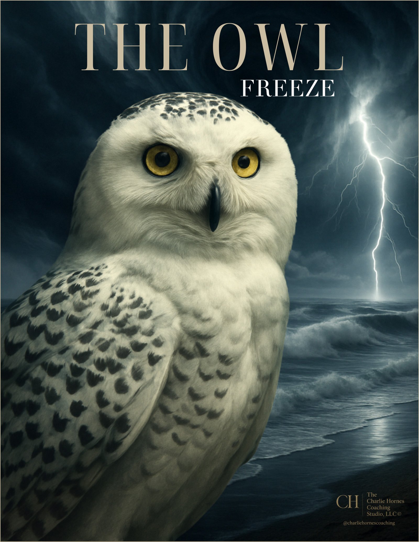 burnout-archetype-owl-closeup-portrait-asset079-v2-freeze.jpg
