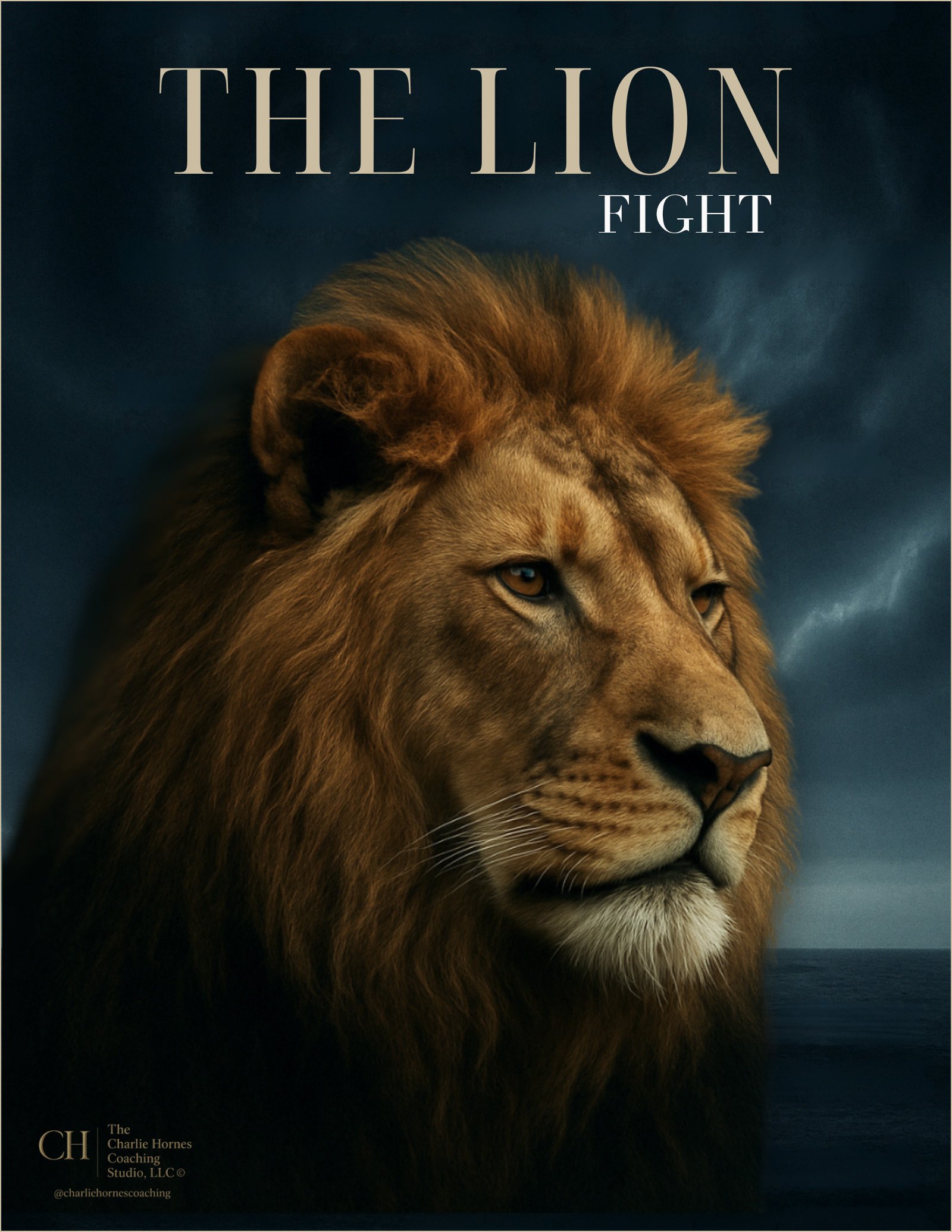 burnout-archetype-lion-closeup-portrait-asset078-v2-fight.jpg