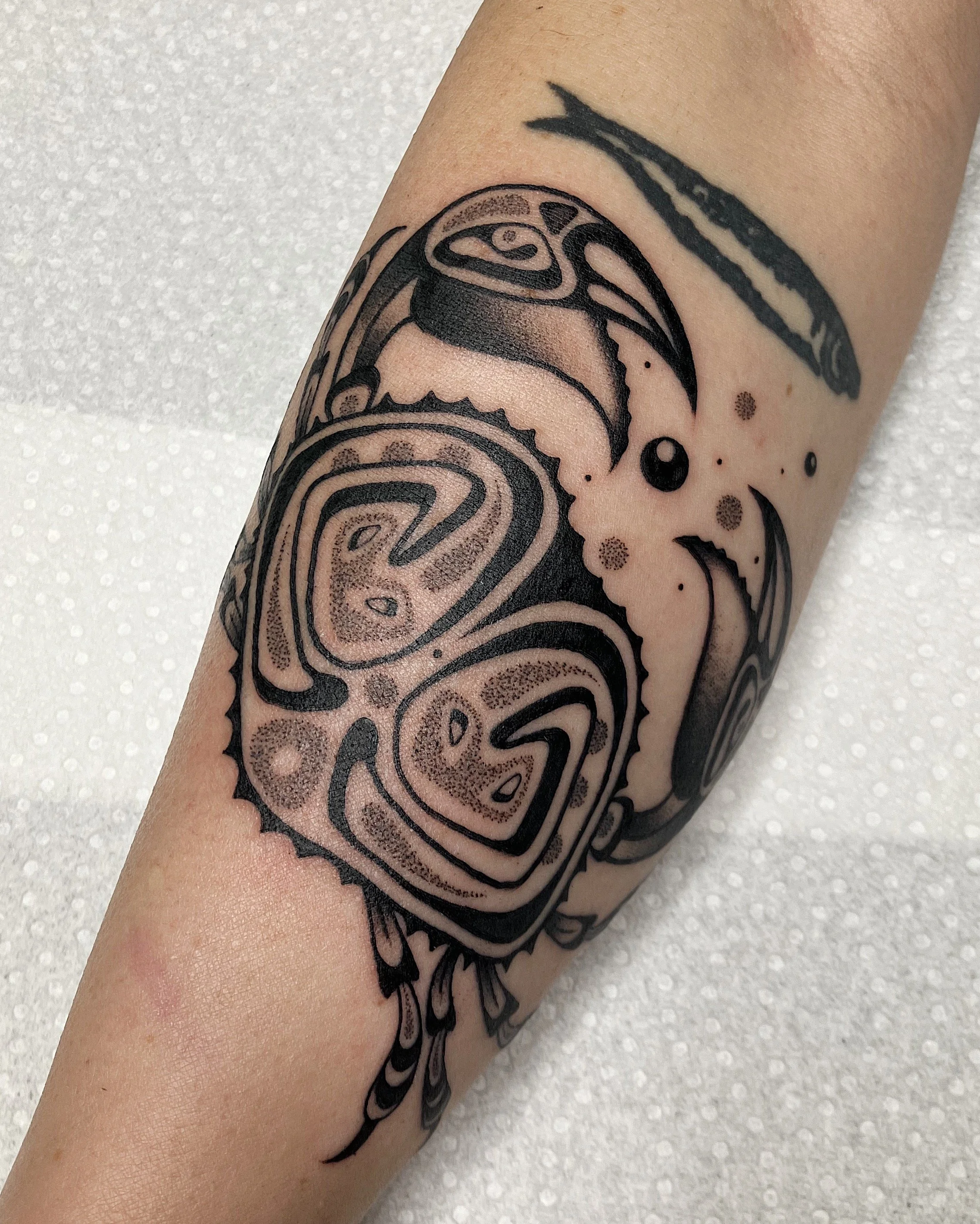 68B9B26C-61F5-4ABD-8051-E082957C0F07 3.JPG