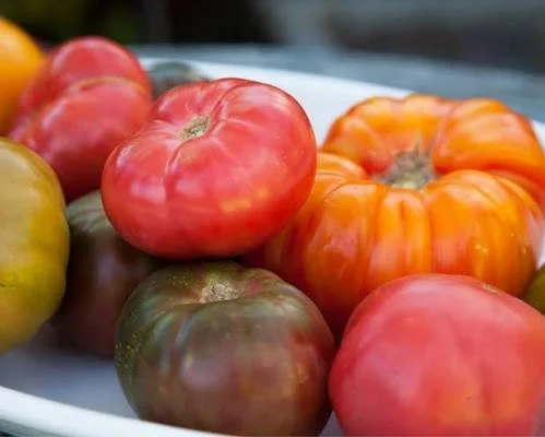 Tomatoes (individual)