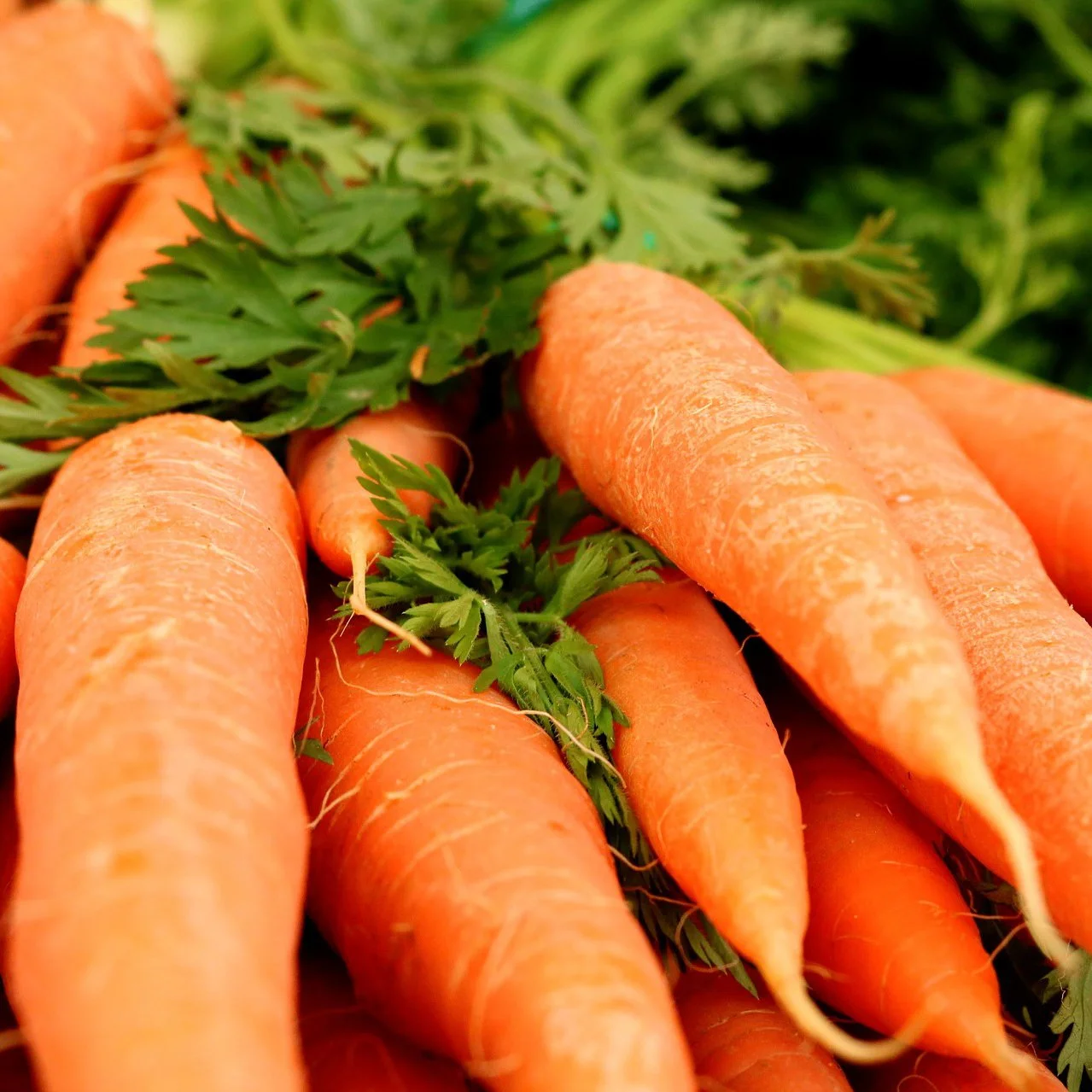 carrots-3399806_1920.jpg
