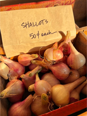 Shallots