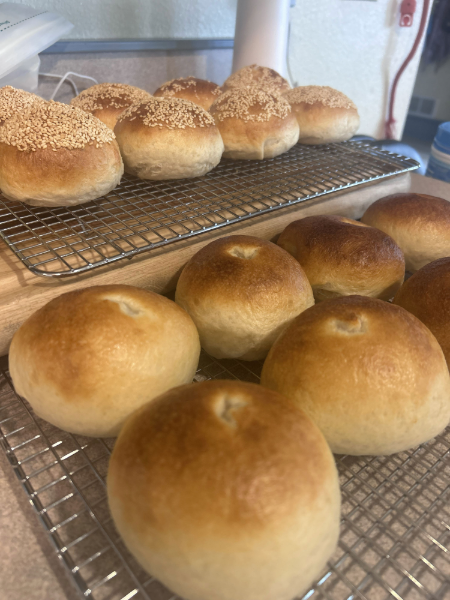 Sourdough Bagel