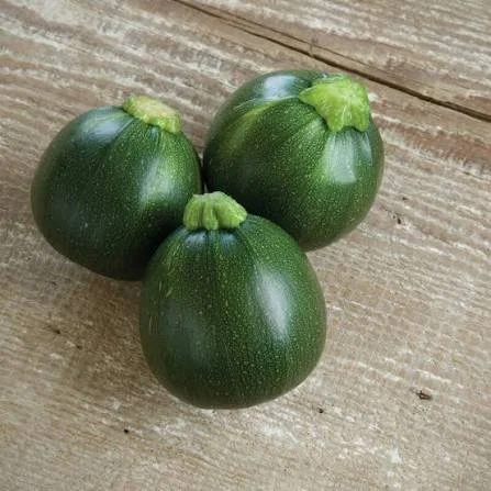 zucchini1.jpeg