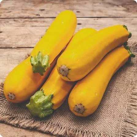 zucchini2.jpeg