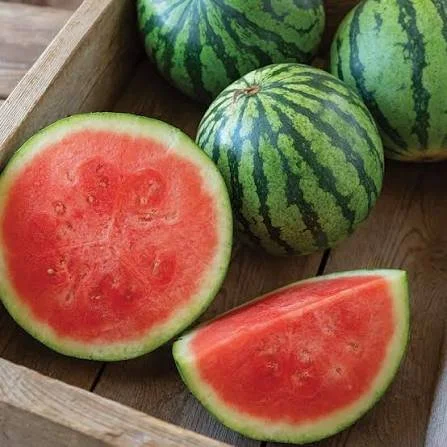 watermelon.jpeg