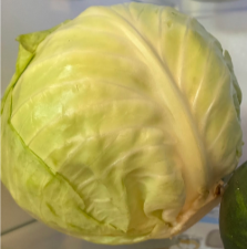 Cabbage
