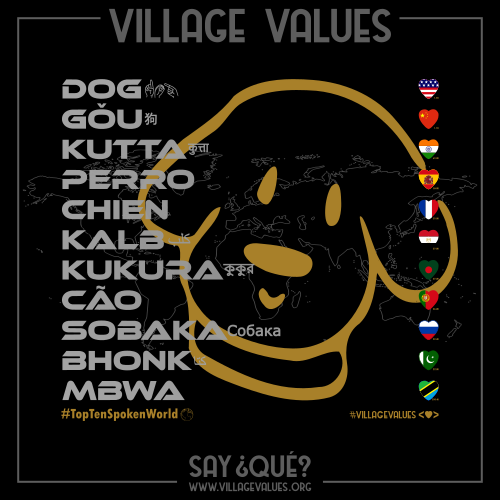 Dog (World)