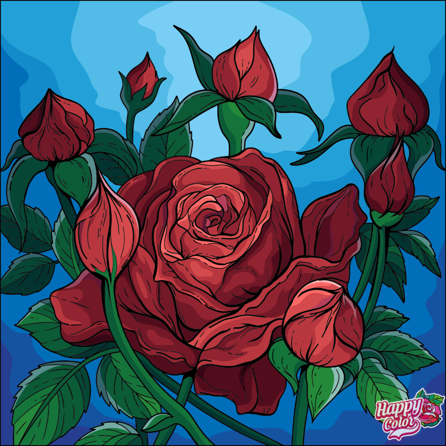 IMG_1343.PNG