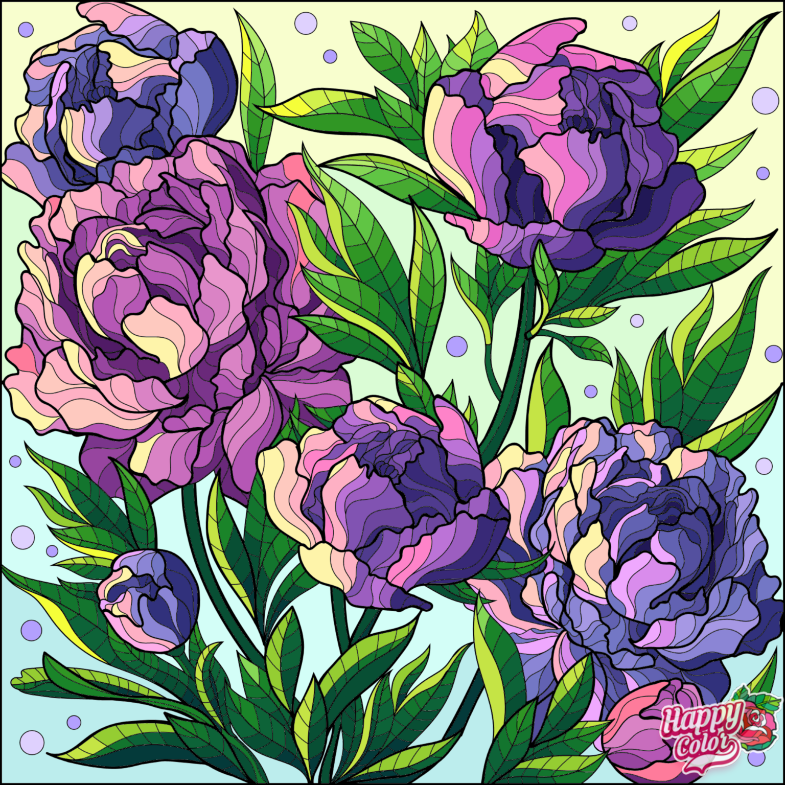 IMG_1344.PNG