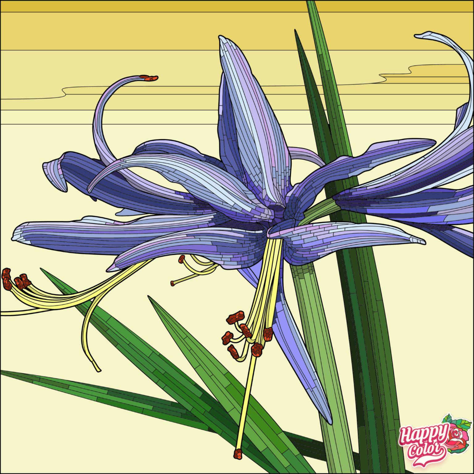IMG_1347.PNG