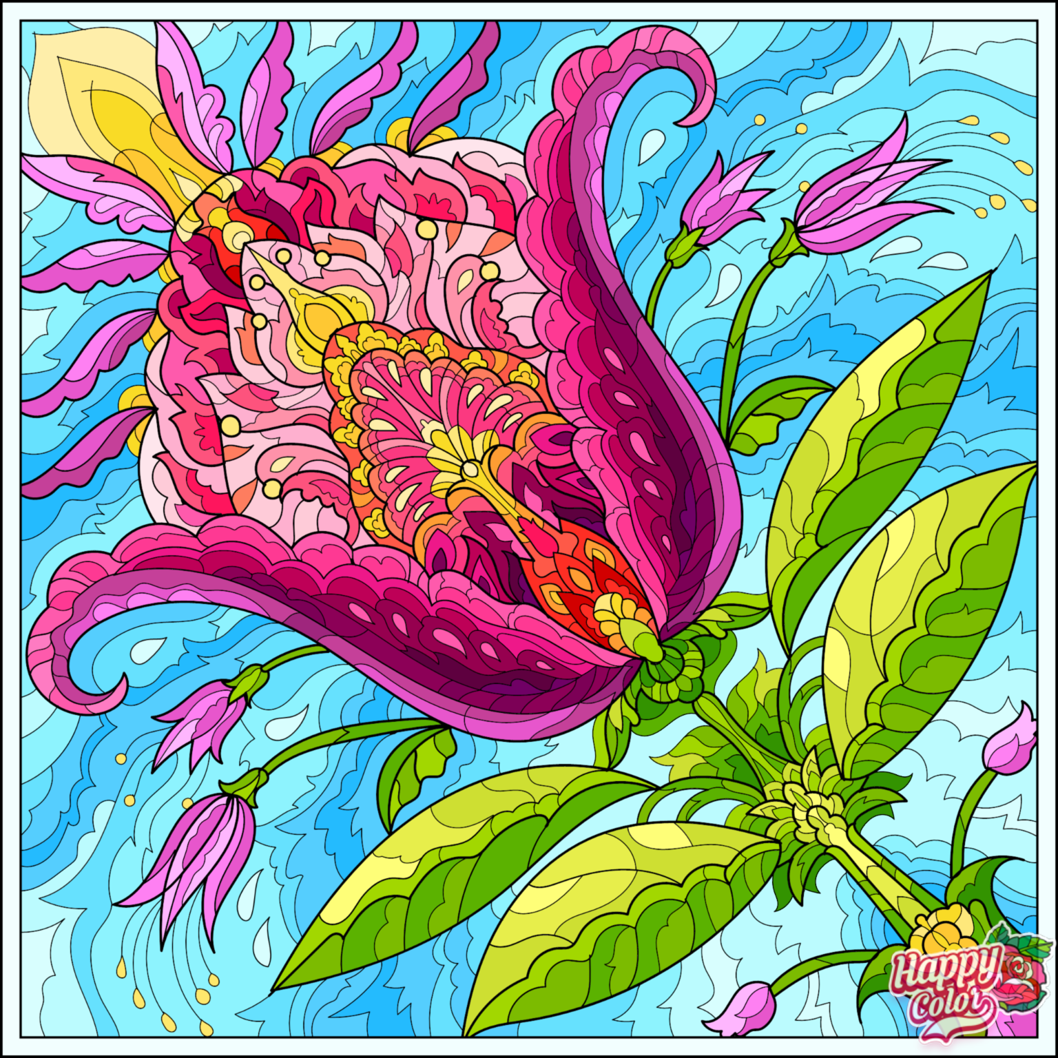 IMG_1360.PNG