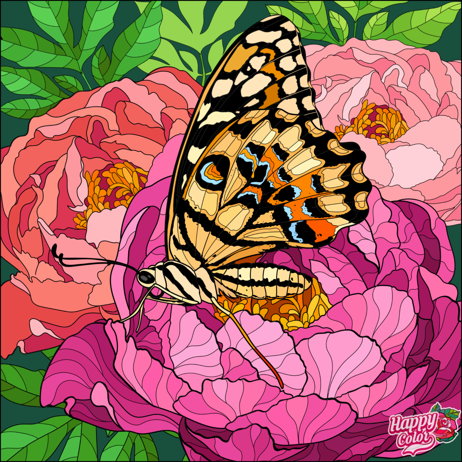 IMG_1383.PNG