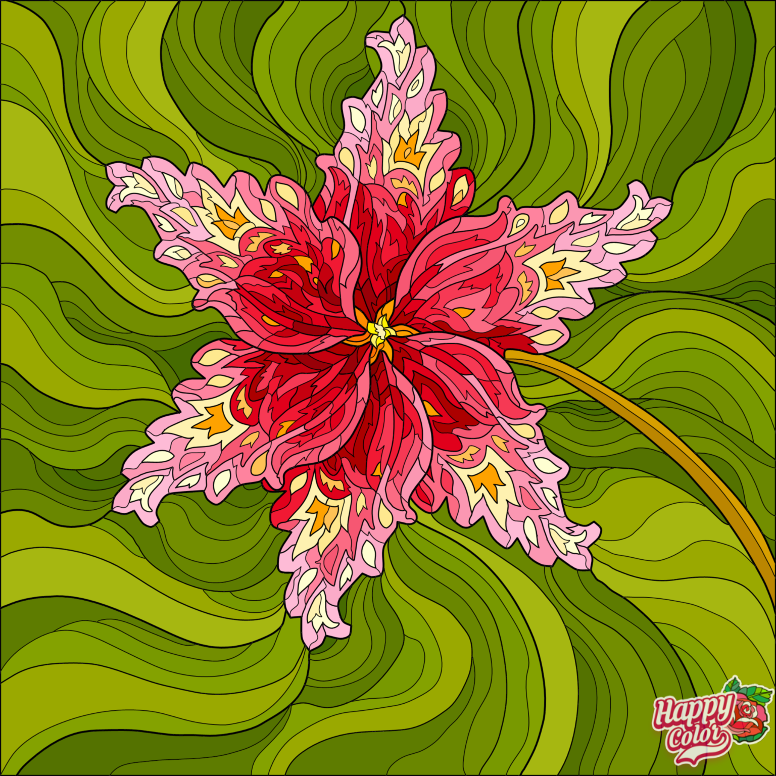 IMG_1384.PNG