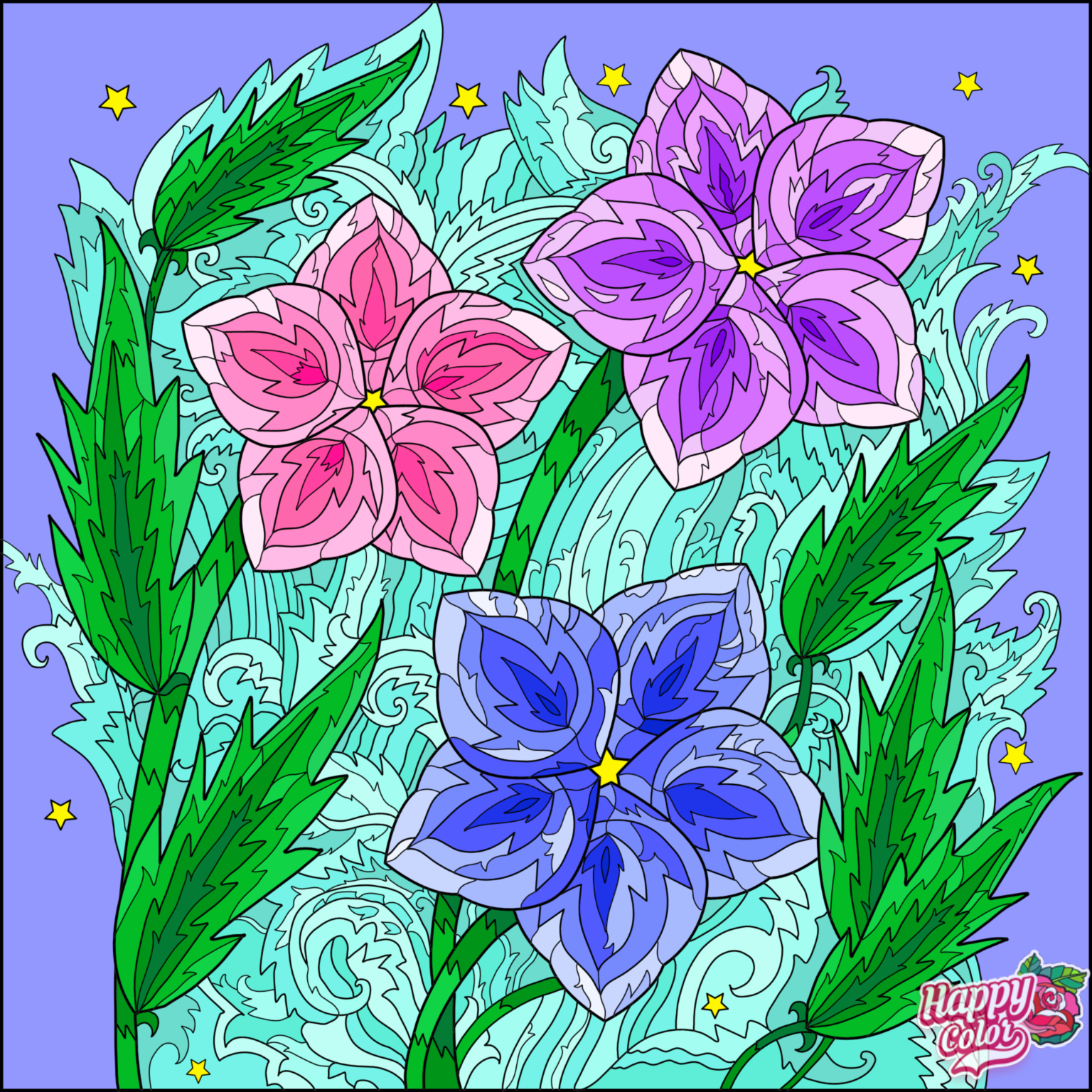 IMG_1385.PNG