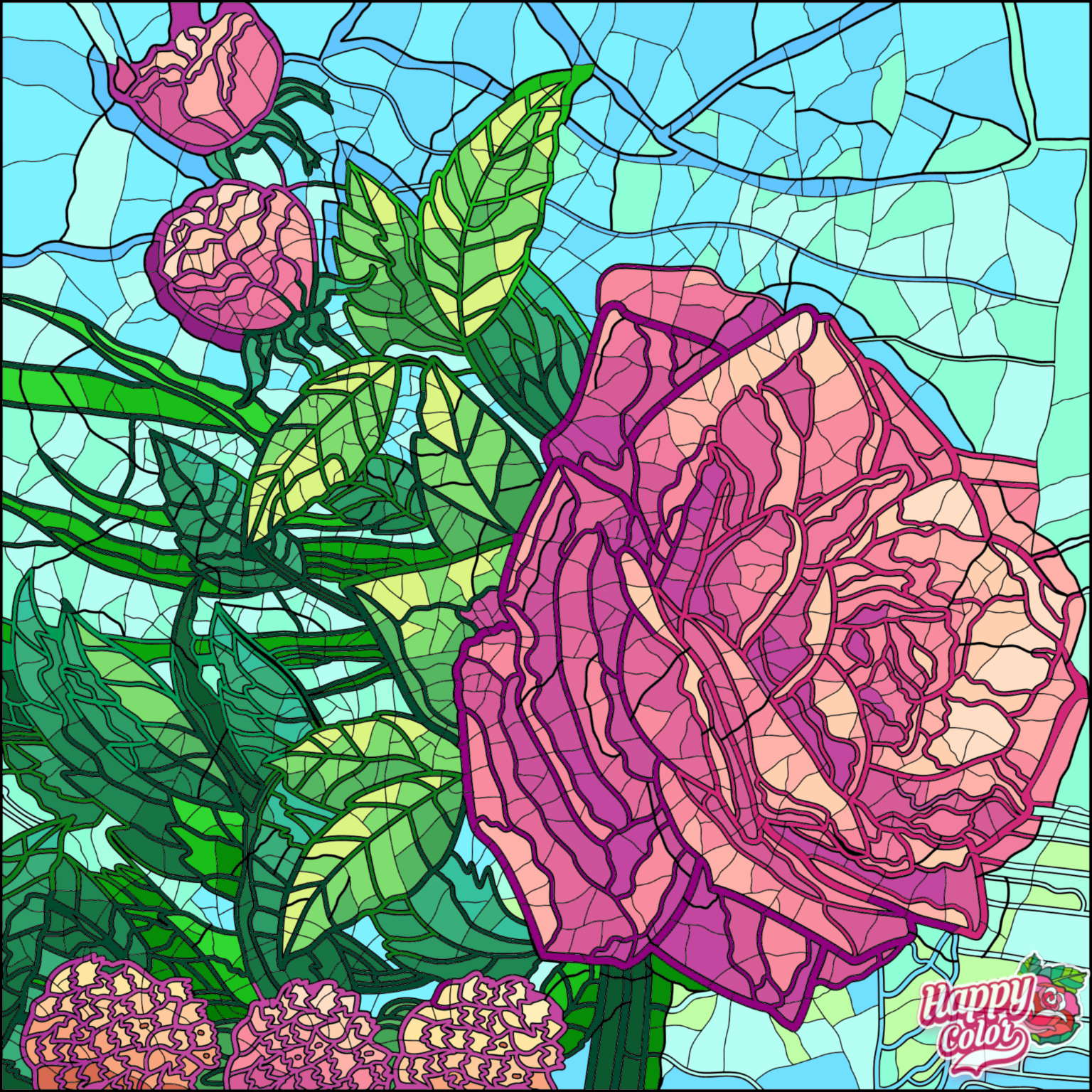 IMG_1386.PNG