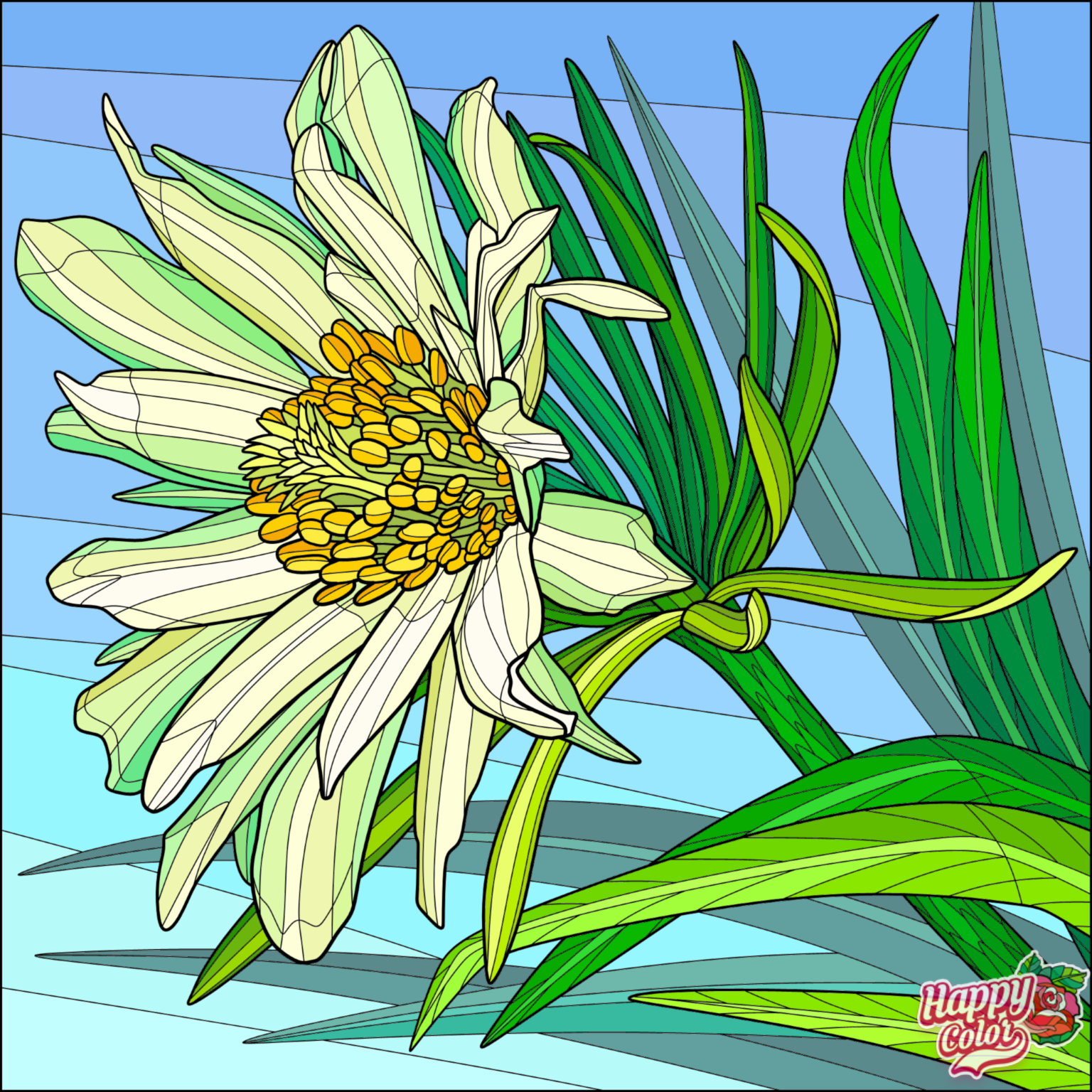 IMG_1394.PNG