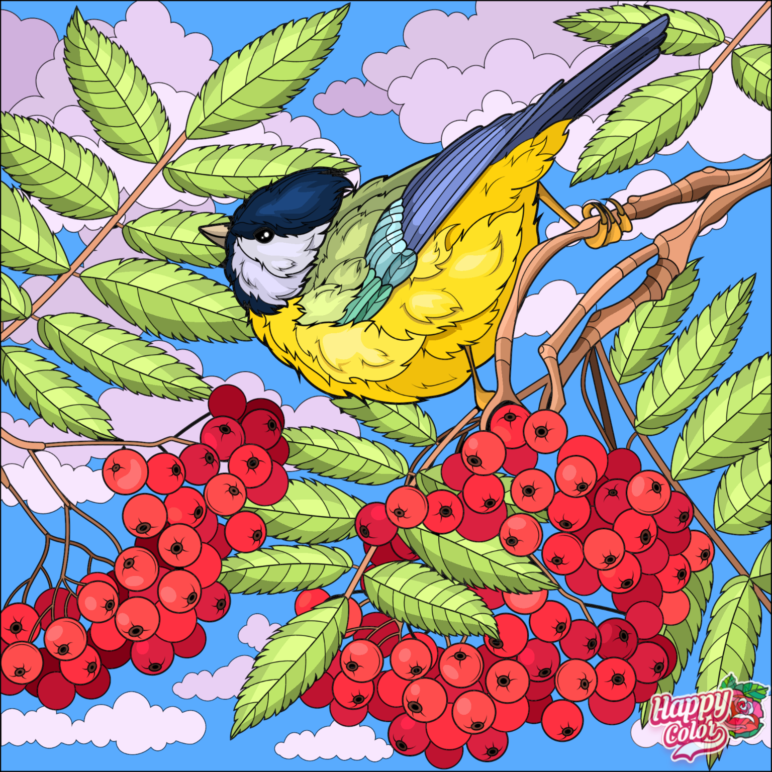 IMG_1408.PNG