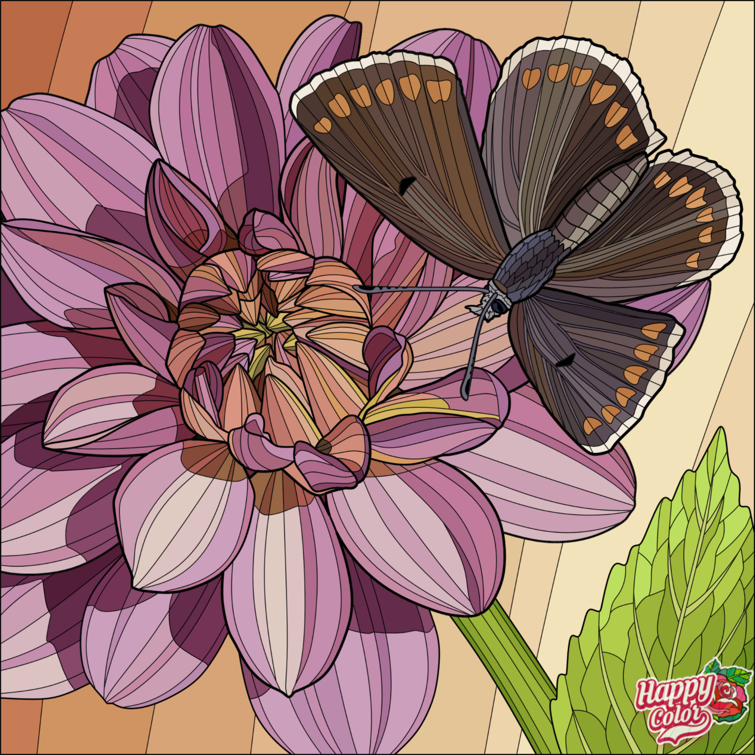 IMG_1420.PNG