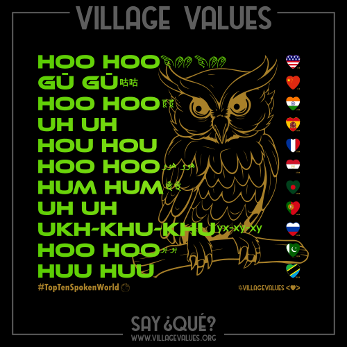 Duolinguistic Streak Society: 365 Day Milestone by Sister #3!