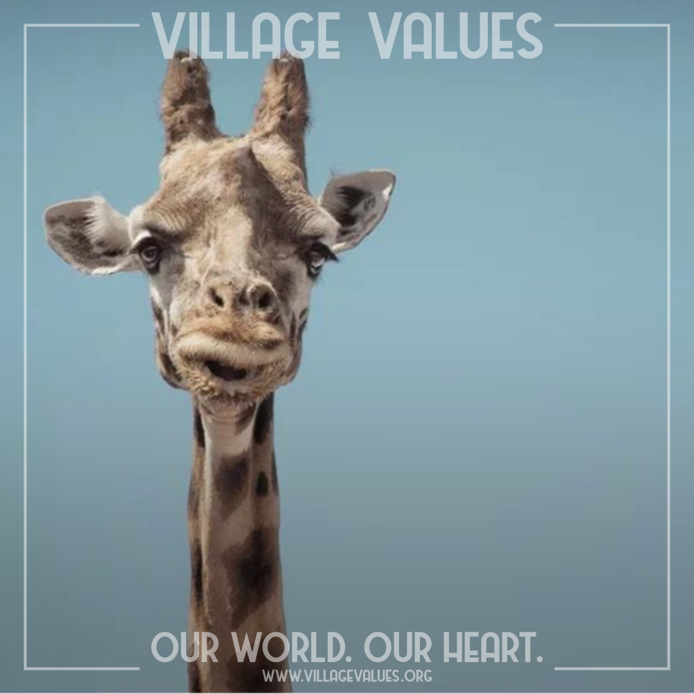 Specktacular Specktackular: How an iOS Glitch Turned a Giraffe into a Movement