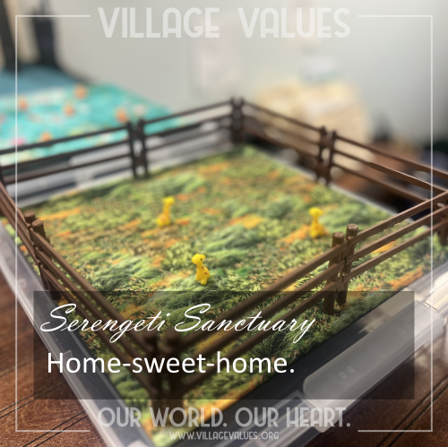 snaps_specktackular_serengeti_sanctuary_home.png