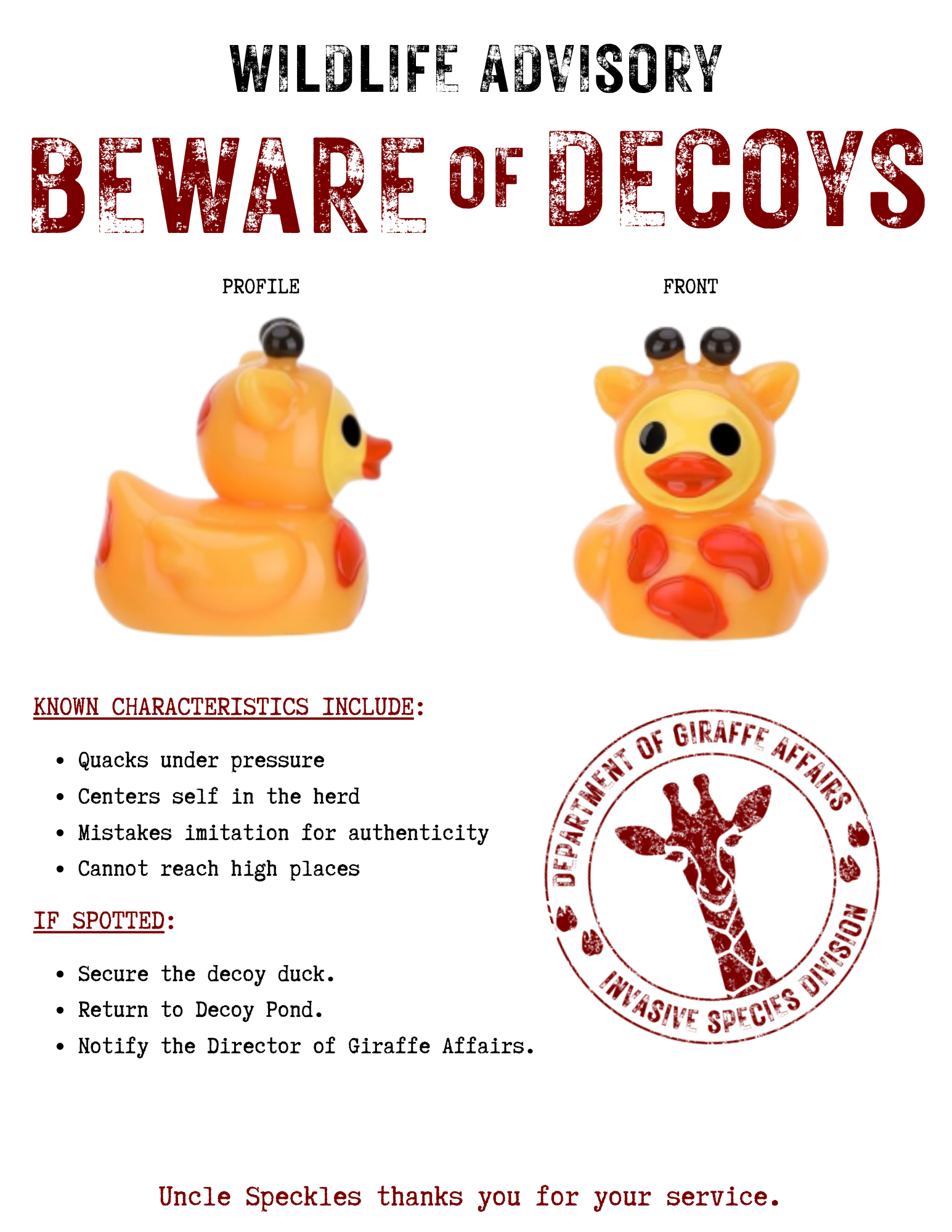 Beware of Decoys Poster - VV (1).png