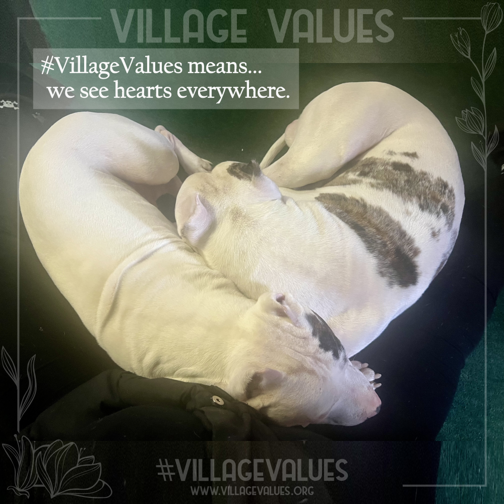 villagevalues_scrapbook_villagevalues_pitbull_heart_framed.png