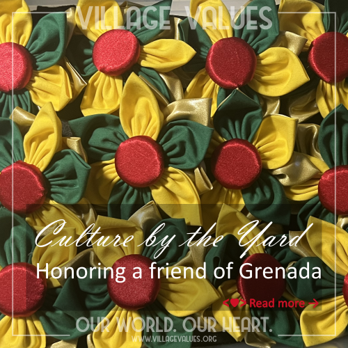 villagevalues_snap_book_culture_by_the_yard_grenada.png