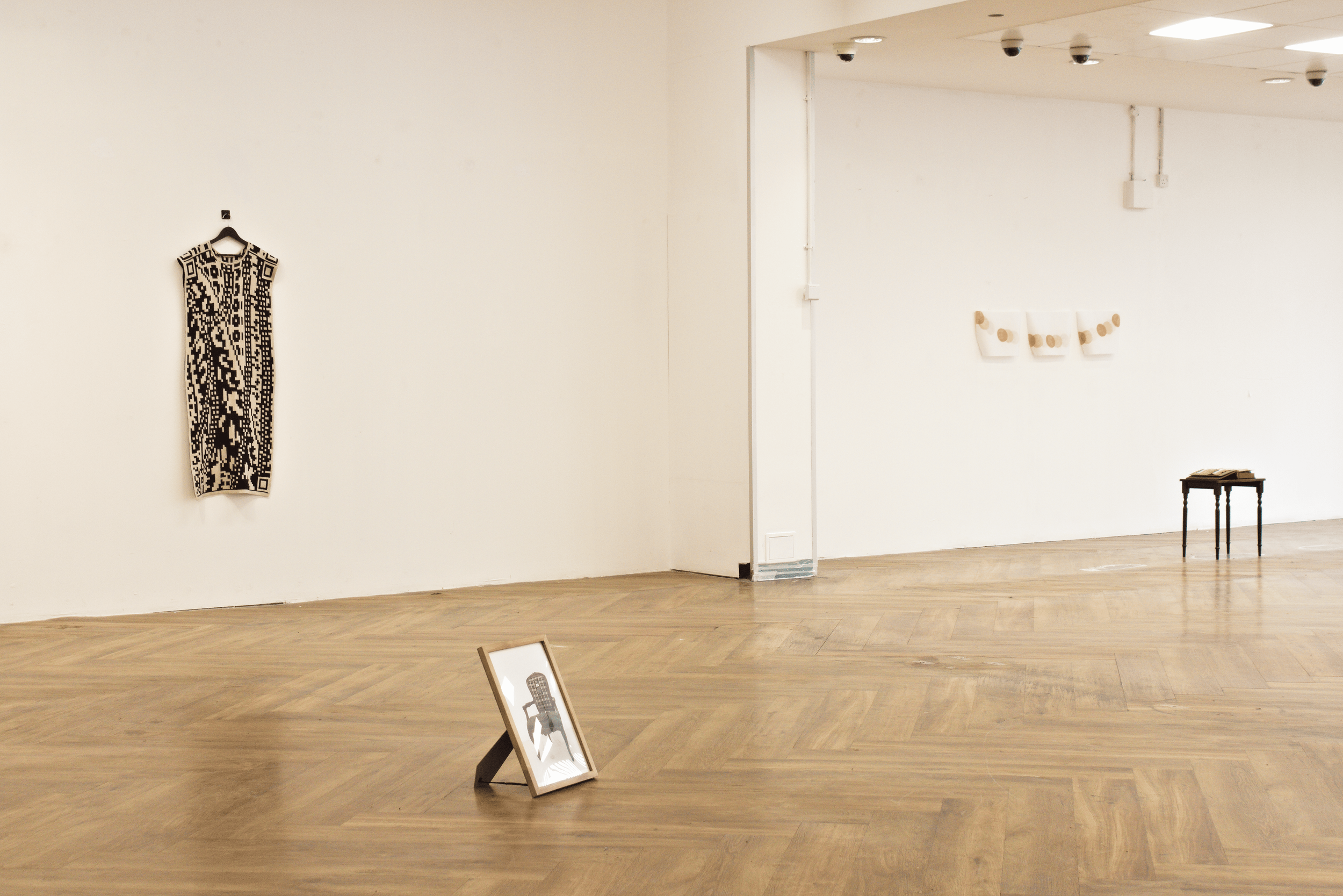 Installation Shot at the Hypha Gallery