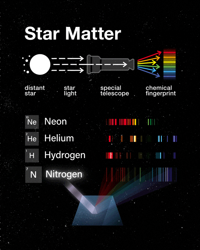 Animated infographic: Spectral lines | Application: Fashion brand social media asset | Vector graphics, Adobe AE