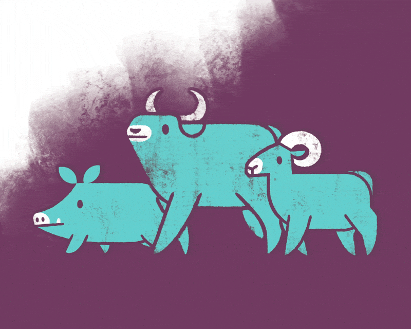 Animation: Farm animals | Fashion brand social media asset | Hand-drawn animation