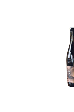 Wine Club (delivery Portland Metro Area)