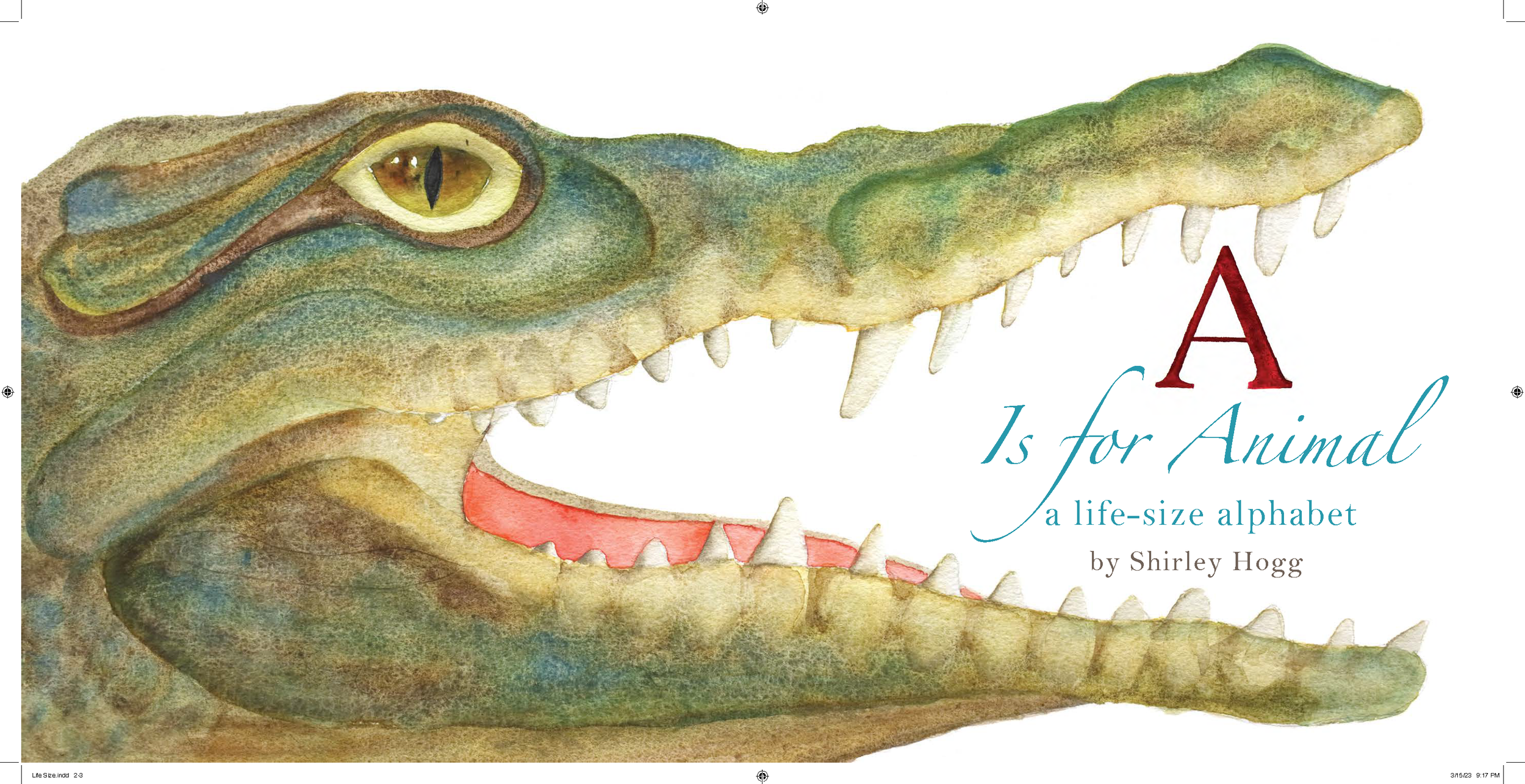 Shirley-Hogg-Watercolor-Artist-Portland-Oregon-A-is-for-Animal-Alphabet-book (1).png