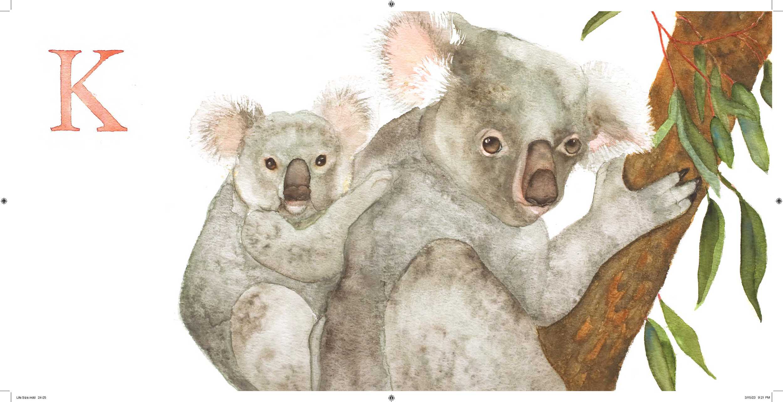 Shirley-Hogg-Watercolor-Artist-Portland-Oregon-A-is-for-Animal-Alphabet-book (12).png