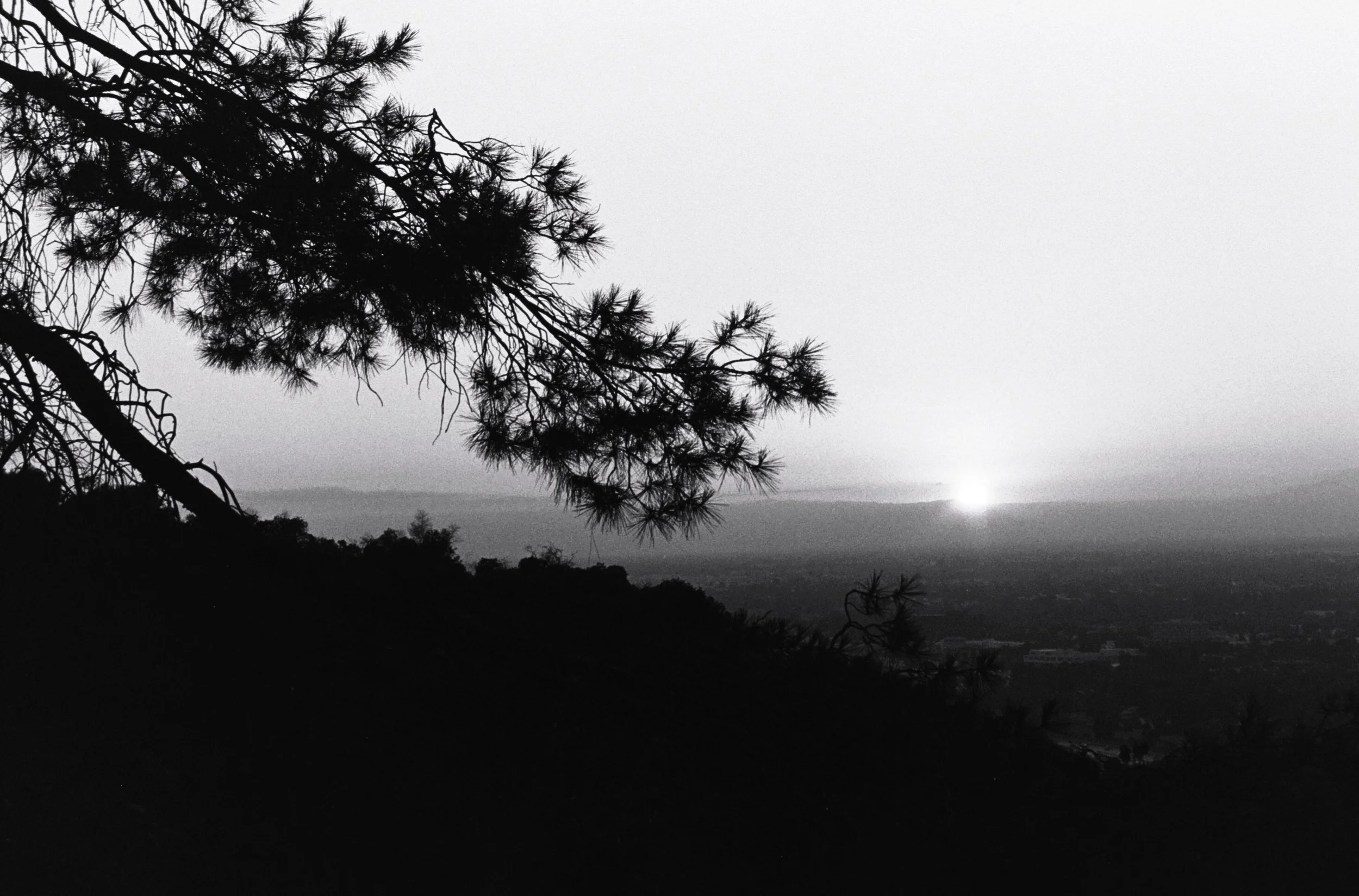 Patil (206).JPG