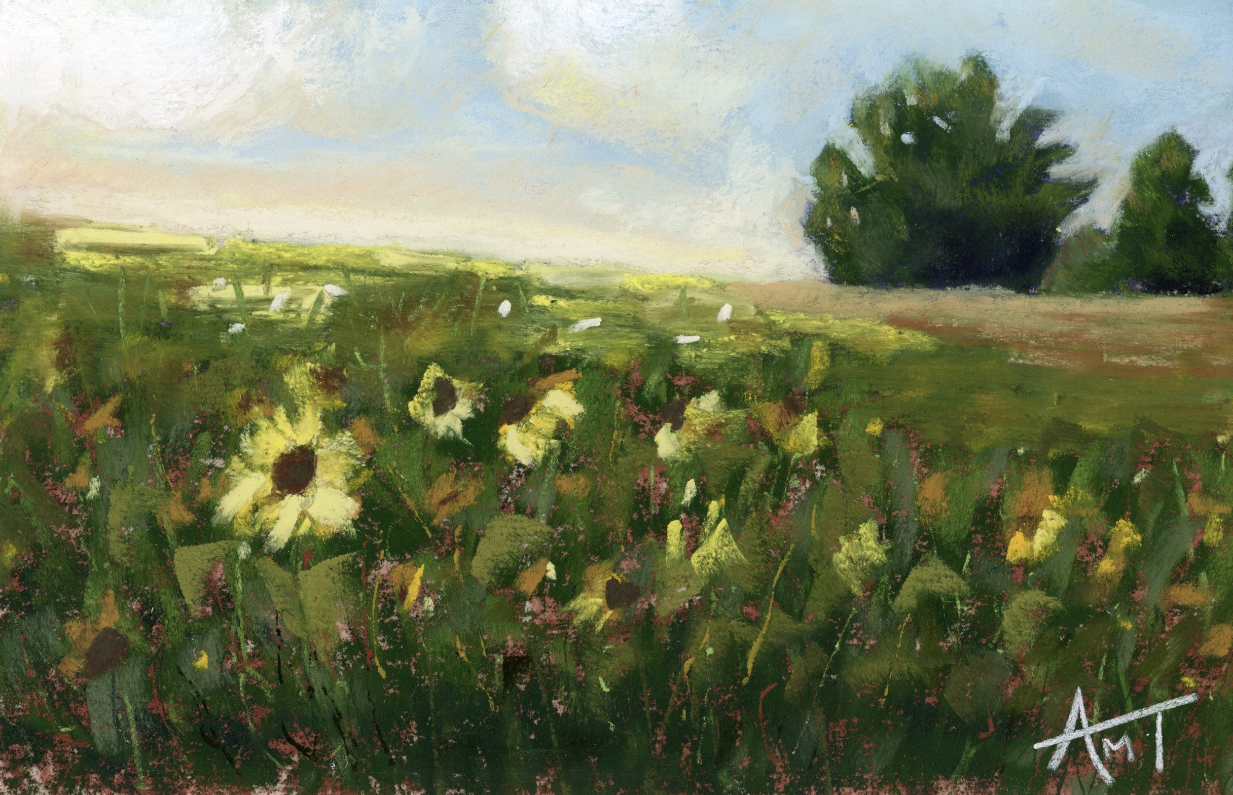 Sunset with the Sunflowers.jpeg