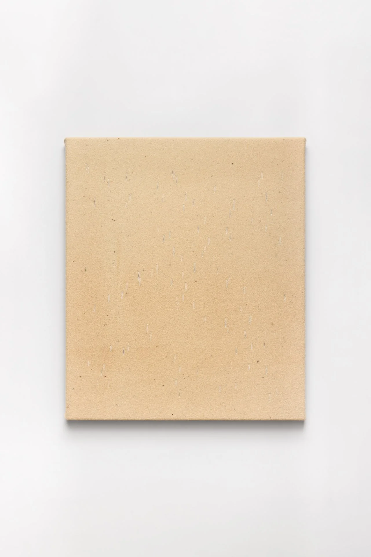 251217_fabiana_preti_049 (1).jpg