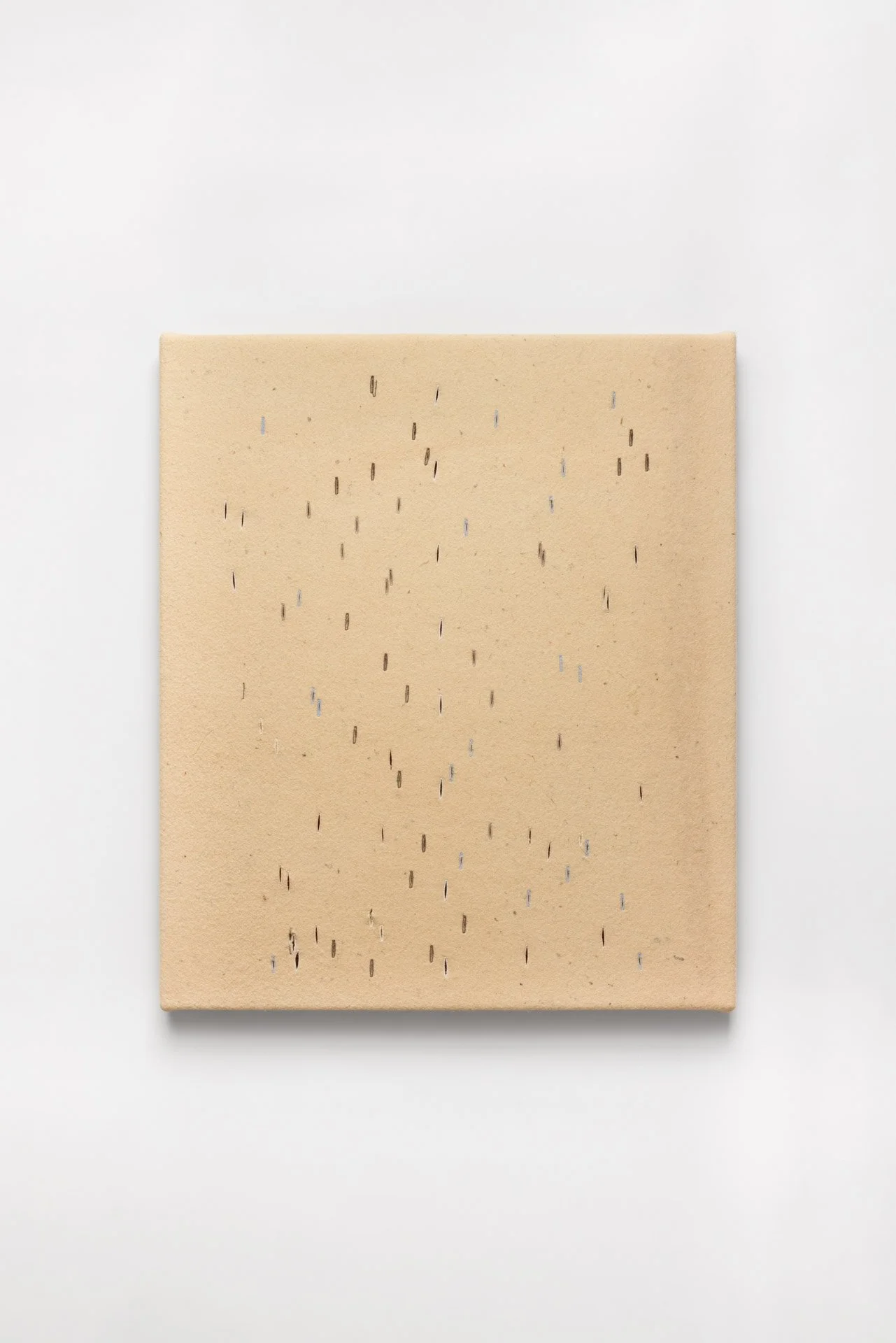 251217_fabiana_preti_053 (1).jpg