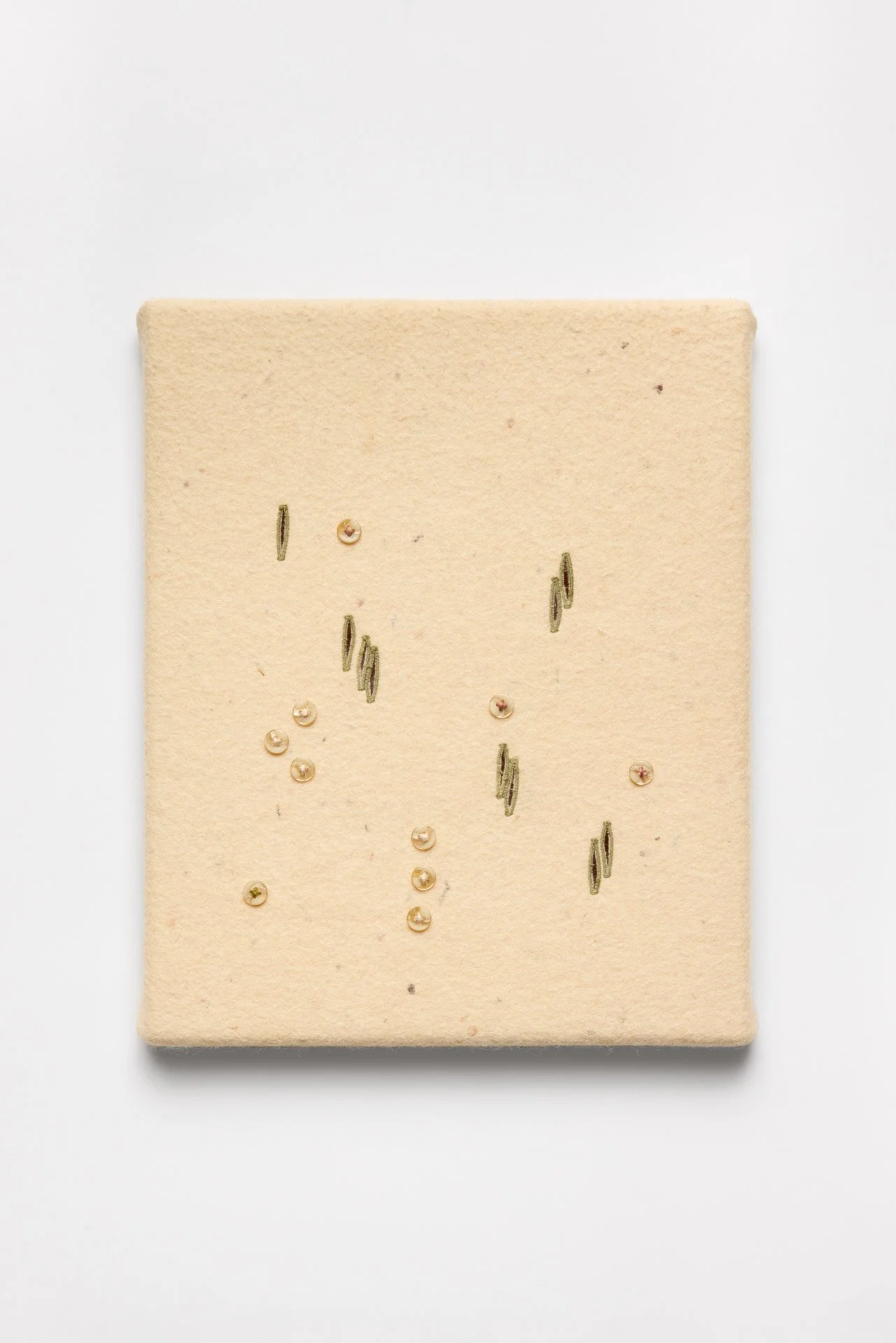 251217_fabiana_preti_043 (1).jpg