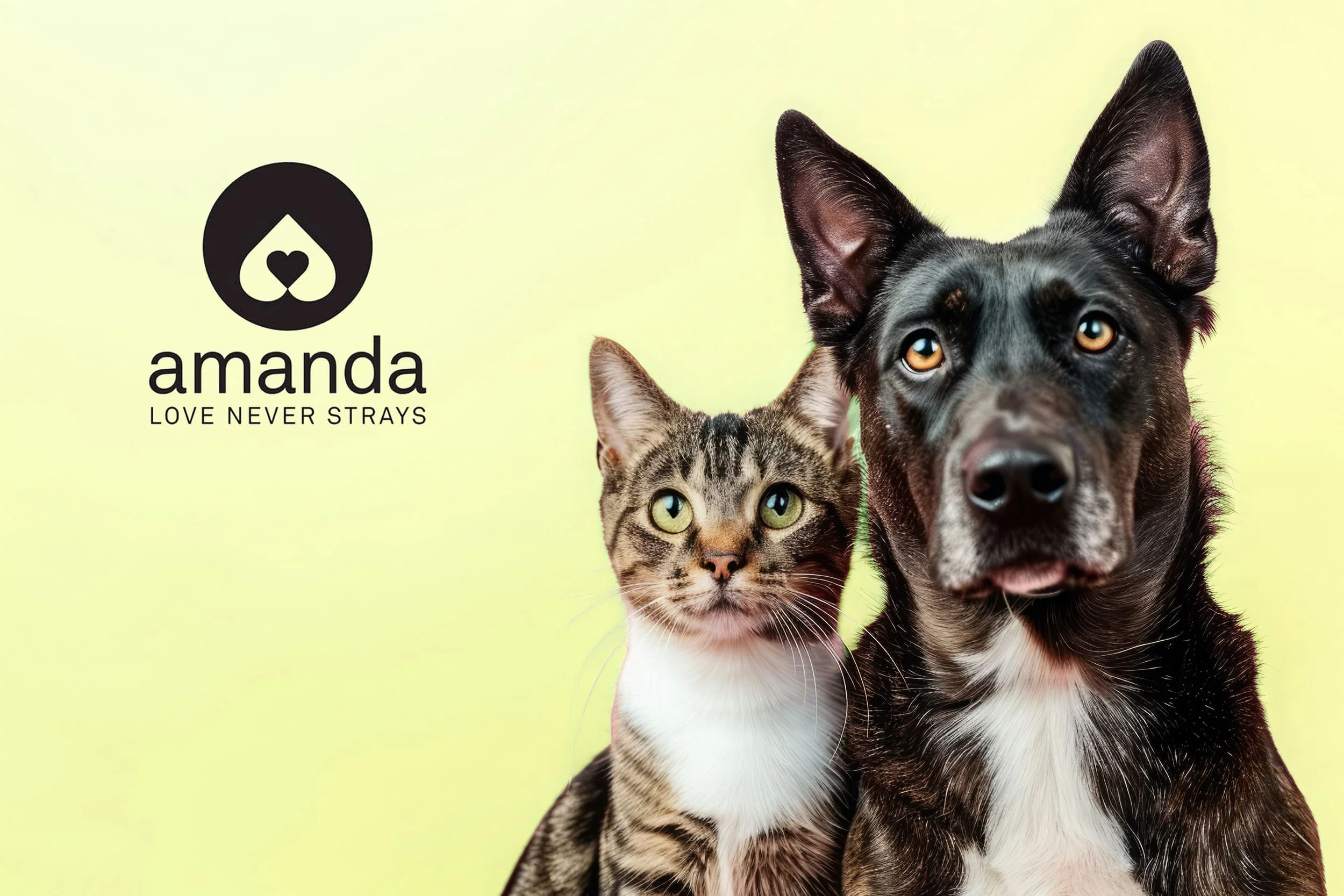 Amanda Foundation