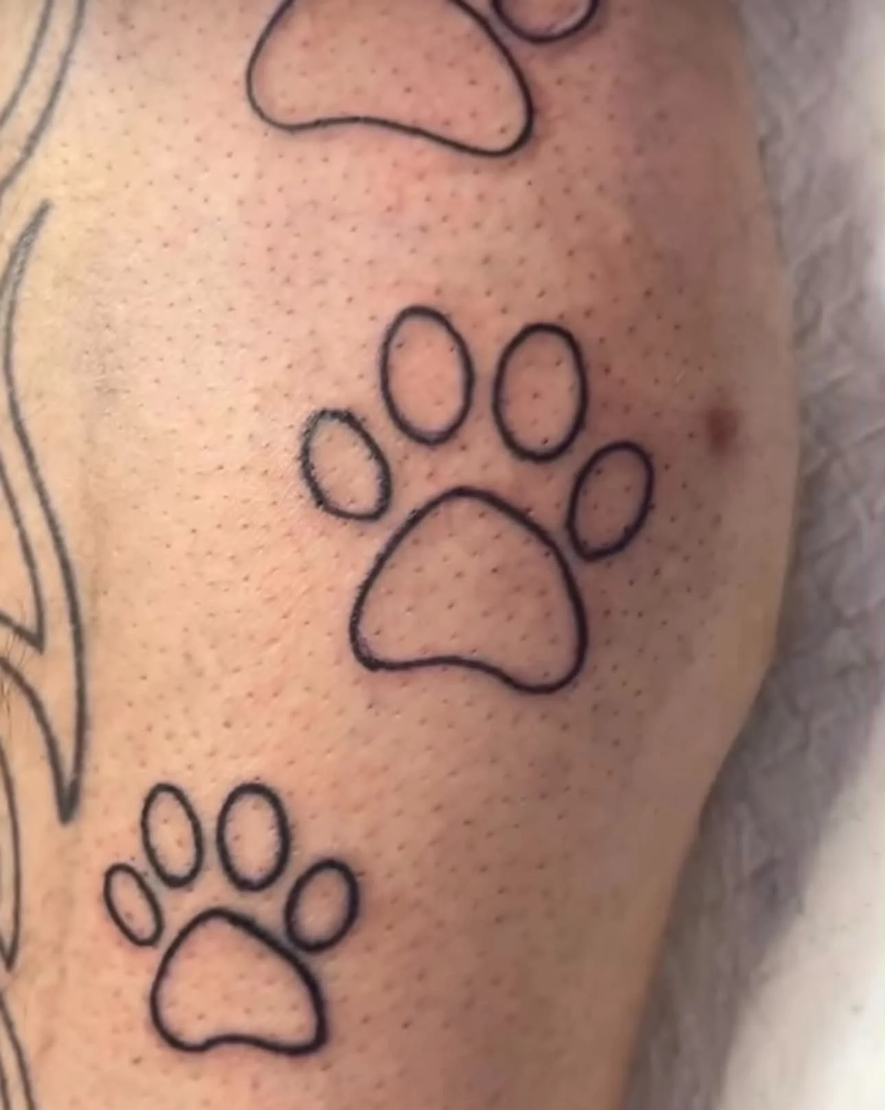Tattoo of a paw print on skin.
