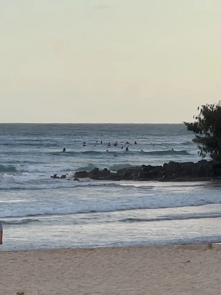 Every Wednesday morning for nearly 1.5 years now we have gathered at our home beach just after sunrise to meditate together. Although I have to wake up in the dark to make the post-meditation chai ☕️ it is always worth it to be here. To see the same 