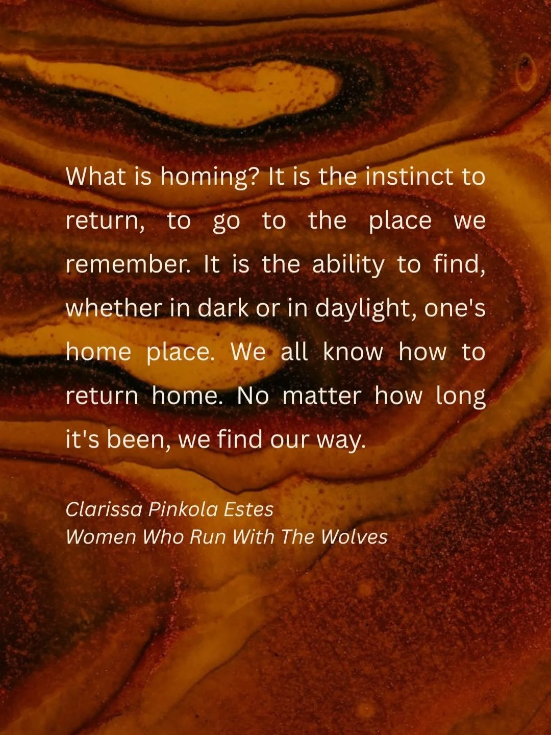 This has been one of my favourite chapters from Women Who Run With The Wolves. Homing. Coming home to oneself. Told through the tale of the Seal Woman. These words are just a fragment of the whole chapter. But they capture the essence. The need. The 