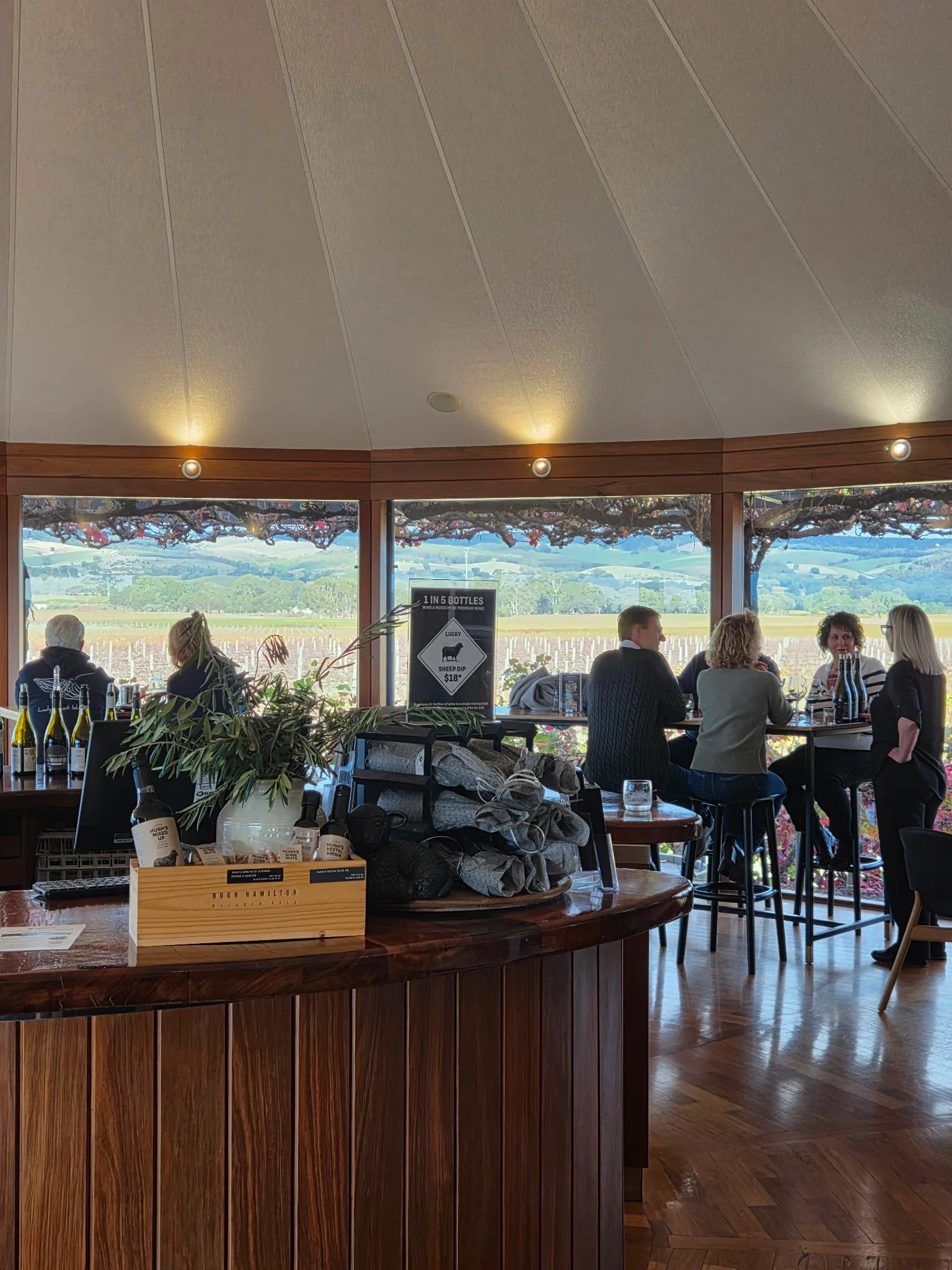 Hugh Hamilton Cellar Door.jpg